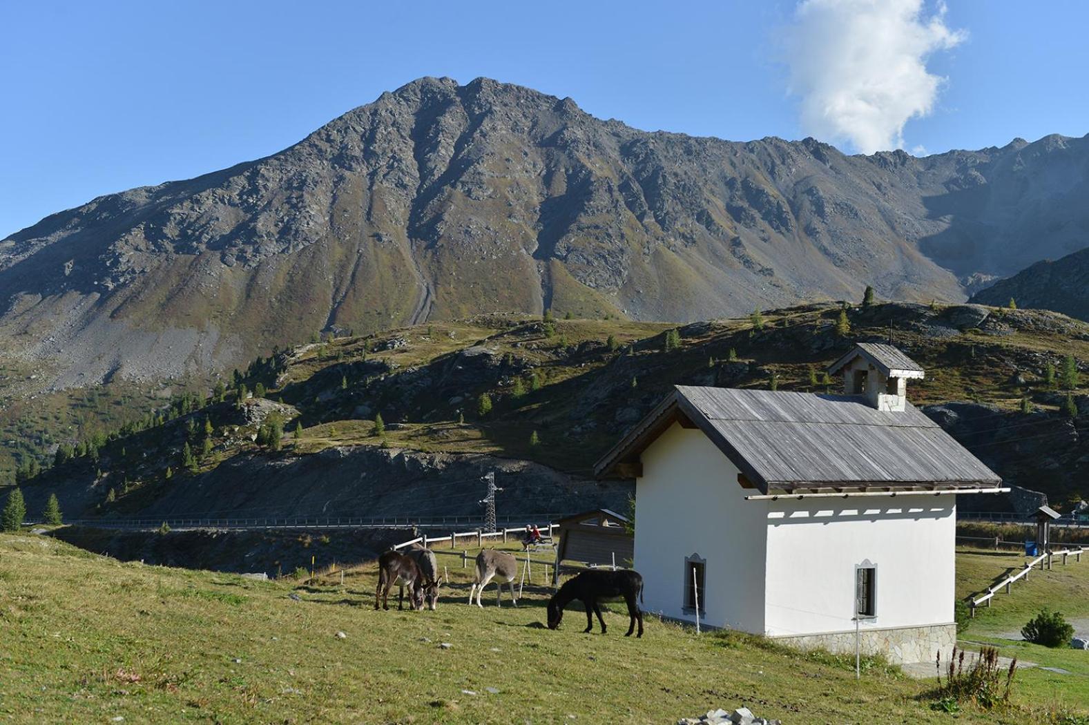 Hotel Interalpen Isolaccia Dış mekan fotoğraf